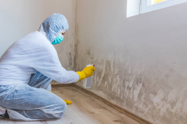 Licensed Commercial Mold Remediation service in Eatontown, NJ - WQB Mold Removal