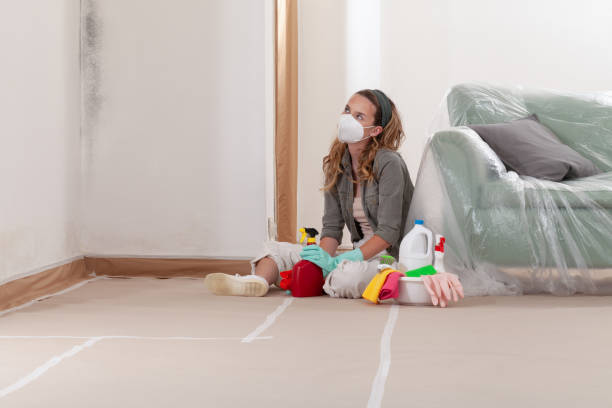 Reliable Commercial Mold Remediation contractor in Eatontown, NJ by WQB Mold Removal